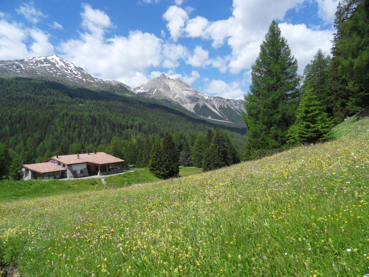 Hotel Chasa al Battaporta Tschierv Esterno foto